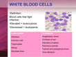 WHITE BLOOD CELL & DIFF. COUNT