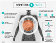 HEPATITIS B PROFILE >