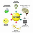 CORTISOL >